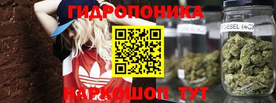 спиды Краснознаменск