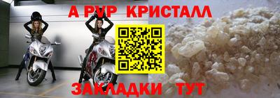 спиды Краснознаменск