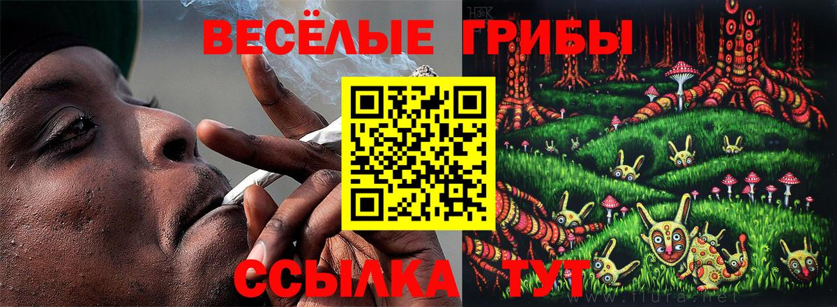 A-PVP Топки