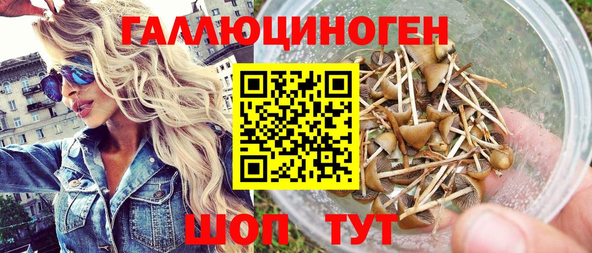 Топки  Галлюциногенные грибы Psilocybe  Вход с VPN 