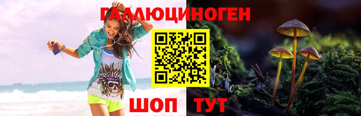 Псилоцибиновые грибы мицелий Топки