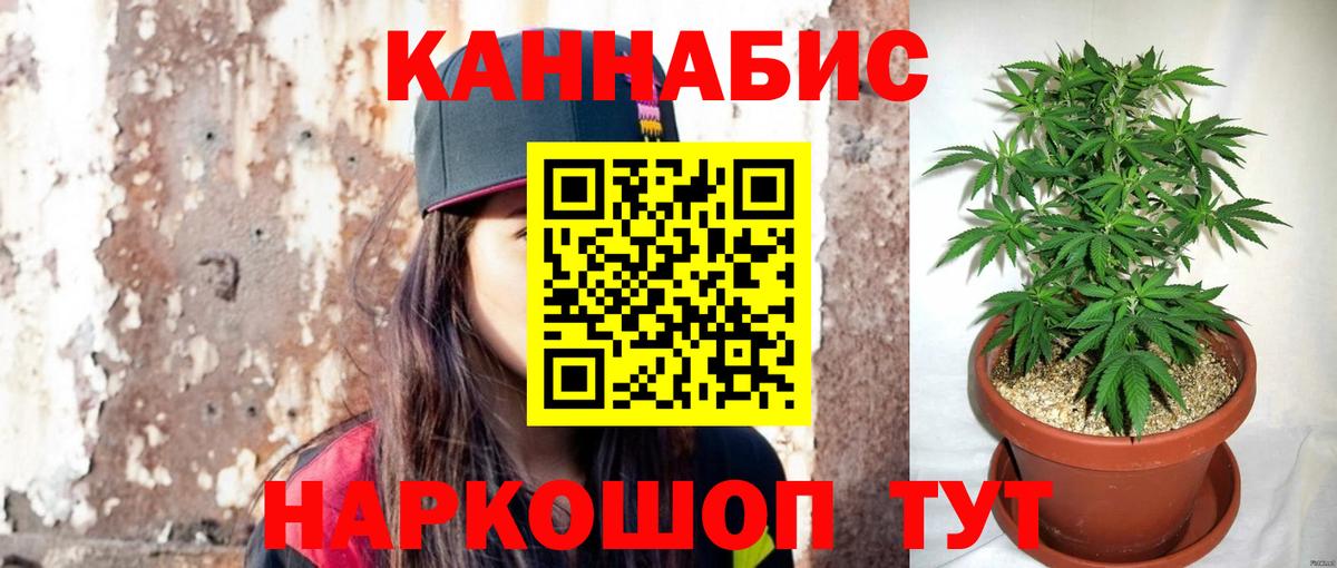 МАРИХУАНА план  Вход с VPN  Конопля тримм  Канабис Bruce Banner  Топки  Канабис индика 